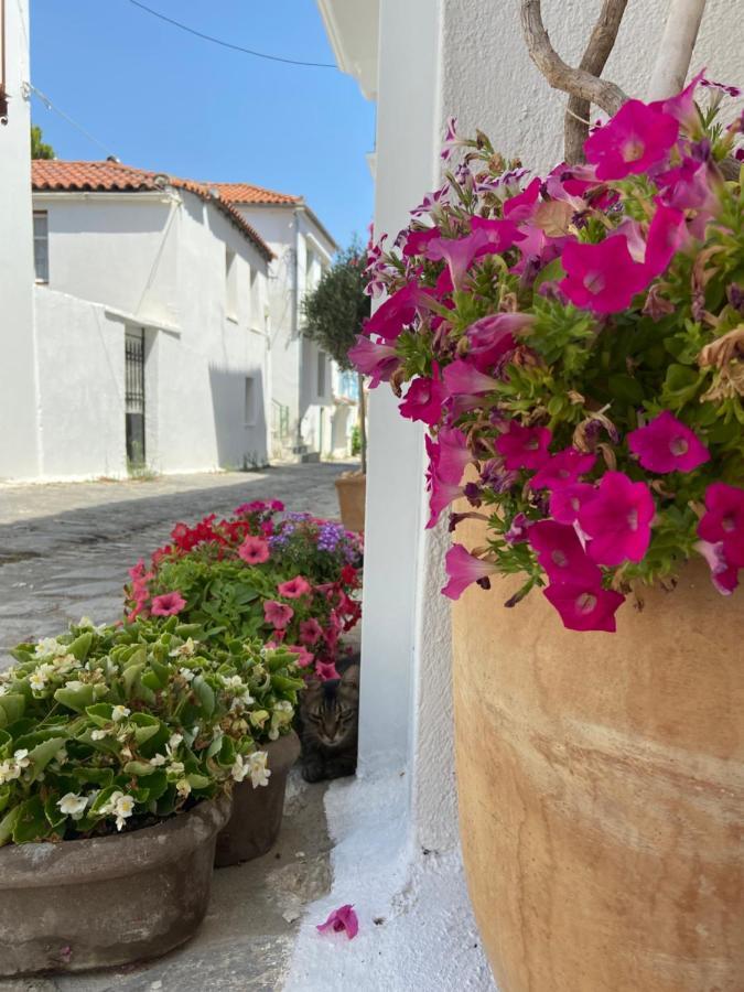 Raphael Skiathos Living-Olga מראה חיצוני תמונה